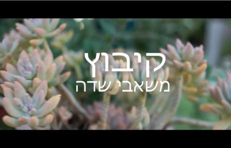 Видеоролик о кибуце Мешабей Садэ